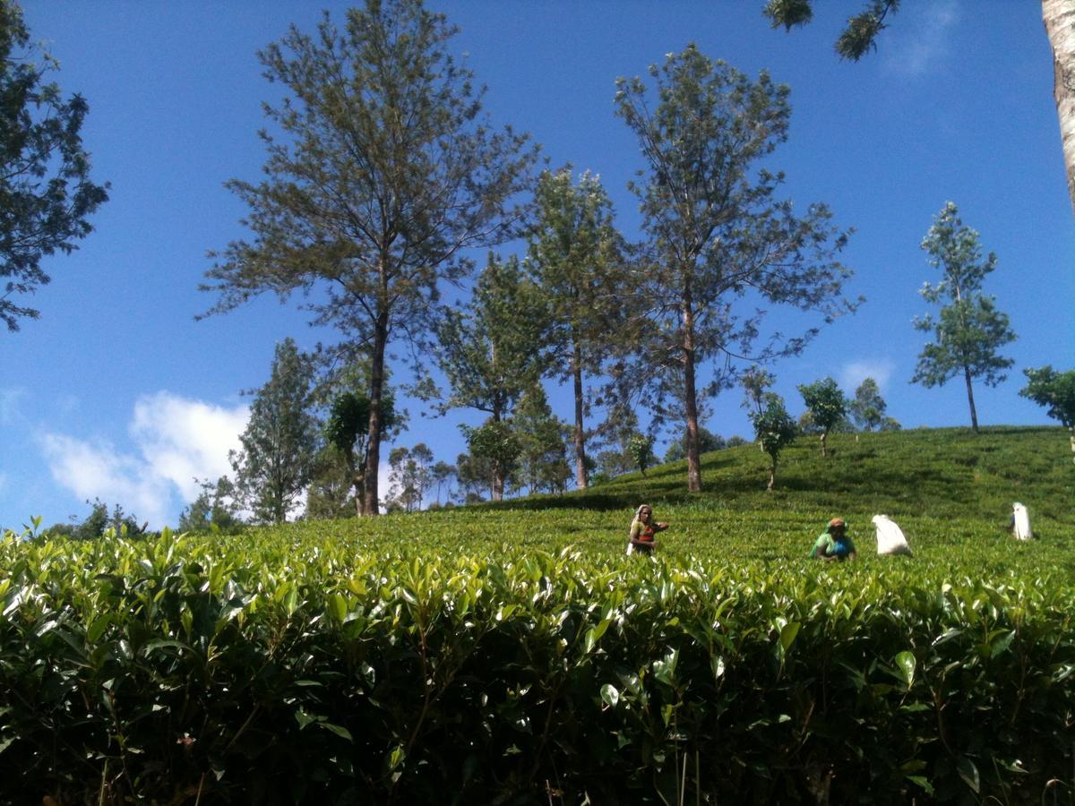 Subash Hotel ナラタニヤ エクステリア 写真
